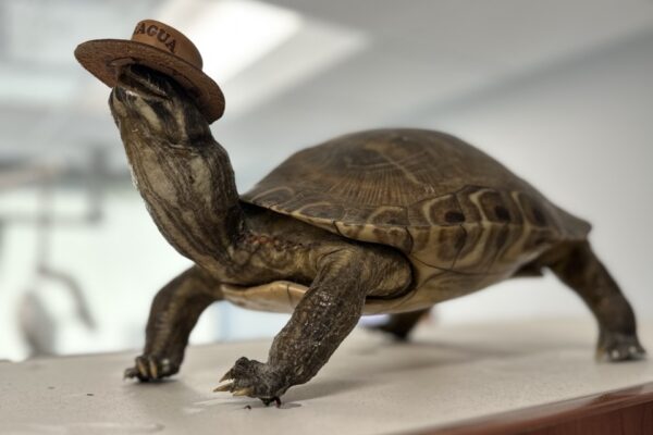 Gregson Family Dentistry_Office Tour_20250925_0008