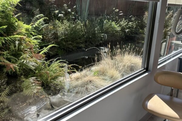 Gregson Family Dentistry_Office Tour_20250925_0011