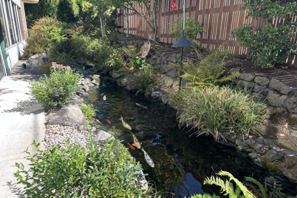 Gregson Family Dentistry_Office Tour_20250925_0019