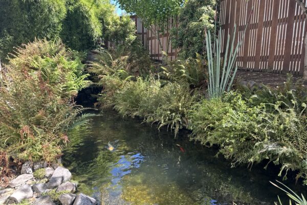 Gregson Family Dentistry_Office Tour_20250925_0021